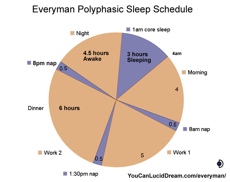 Everyman polyphasic sleep pie chart