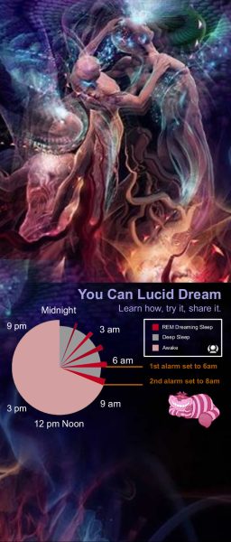 Sleep Pie Chart
