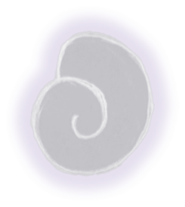 Spiral Shell
